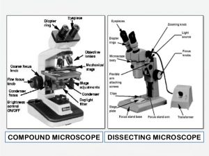 Compound Dissecting Microscope